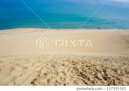 Sand texture and landscape of Tottori Sand Dunes Sand texture and landscape of Tottori Sand Dunes 137355181