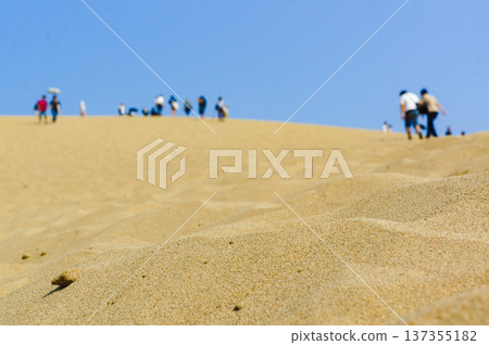 Tourists strolling through the Tottori Sand Dunes and the blue sky 137355182