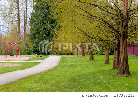 Beautiful walkway in a park along blooming trees Beautiful walkway in a park along blooming trees 137355232