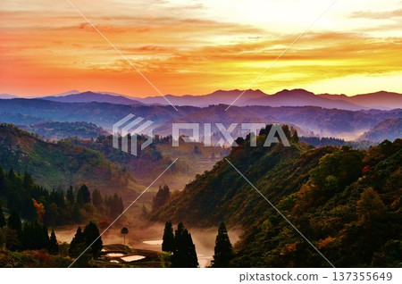 Yamakoshi Rice Terrace Unkai Seiyaki的黎明 Yamakoshi Rice Terrace Unkai Seiyaki的黎明 137355649