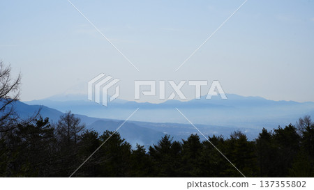Mount Fuji as seen from the Tenyoyama hiking trail 137355802