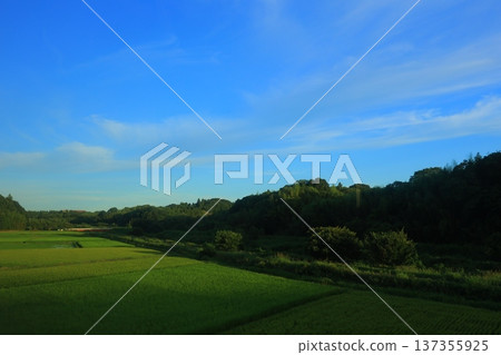 Countryside scenery with refreshing blue sky Countryside scenery with refreshing blue sky 137355925
