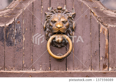 Vintage brass lion head door knocker on an old weathered wooden door Vintage brass lion head door knocker on an old weathered wooden door 137356089