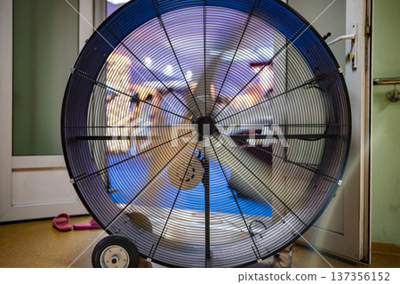 Rotating blades of an industrial floor fan providing essential air circulation 137356152