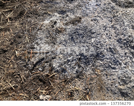 Ground and Ash 1 Ground and Ash 1 137356270