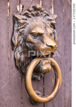 Vintage brass lion head door knocker on old brown wooden door 137356340