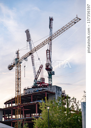 Cranes constructing a modern building in urban development, reaching for the sky Cranes constructing a modern building in urban development, reaching for the sky 137356397