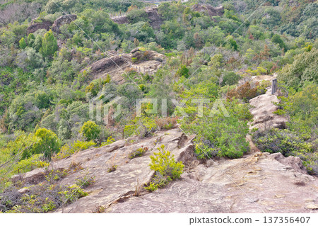 [View from the summit of the Hikiiwa group] Inari-cho, Tanabe City, Wakayama Prefecture 137356407