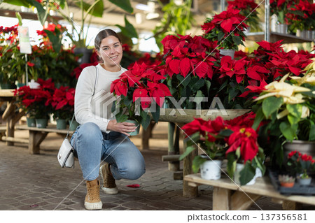 Young woman buy potted flowering poinsettia plant in shop Young woman buy potted flowering poinsettia plant in shop 137356581