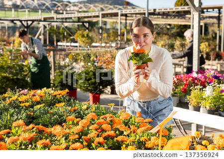 Woman choosing pots with calendula 137356924