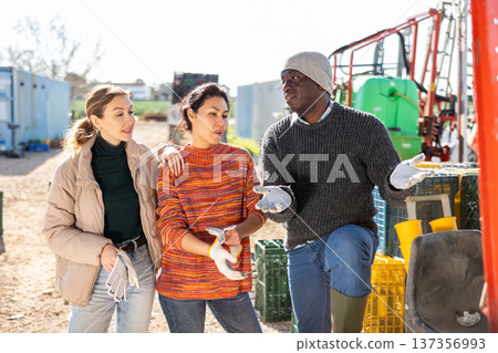 Two women and a man communicate after work in the backyard of a farm on sunny day Two women and a man communicate after work in the backyard of a farm on sunny day 137356993