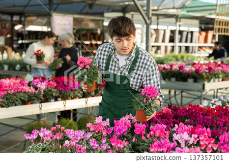 Male worker arranging pots with plants Male worker arranging pots with plants 137357101