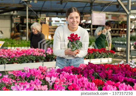 Young woman buy potted cyclamen plant in shop Young woman buy potted cyclamen plant in shop 137357250