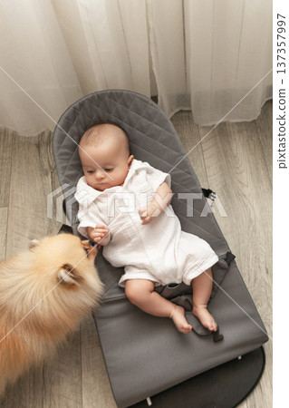 Newborn baby plays with a friendly dog in a serene space 137357997