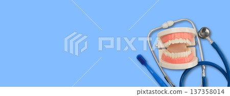 Model mouth with dental tools placed on a blue surface 137358014
