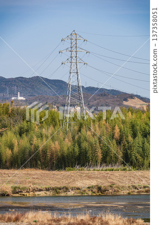A steel tower standing in a bamboo forest on the Kizugawa River bank in Joyo City, Kyoto Prefecture A steel tower standing in a bamboo forest on the Kizugawa River bank in Joyo City, Kyoto Prefecture 137358051