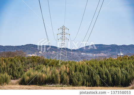 A steel tower standing in a bamboo forest on the Kizugawa River bank in Joyo City, Kyoto Prefecture A steel tower standing in a bamboo forest on the Kizugawa River bank in Joyo City, Kyoto Prefecture 137358053