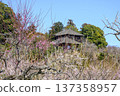 Kairakuen Garden, plum grove and Kobuntei 137358957