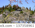 Kairakuen Garden, plum grove and Kobuntei 137358961