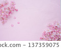 春日景象：櫻花花瓣 137359075