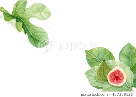 Frame with whole fig, sliced half, leaves in corner composition with copy space. Hand-painted watercolor botanical food illustration isolated on white, decorative design for packaging, menus, labels 137359128