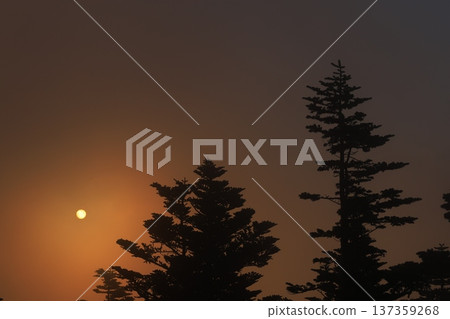 Mountains surrounded by fog 137359268