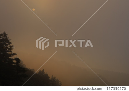 Mountains surrounded by fog Mountains surrounded by fog 137359270
