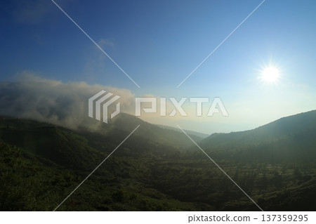 霧包圍的山 霧包圍的山 137359295
