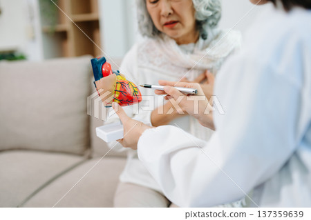 Female doctor explaining heart health with anatomy model to senior woman. Healthcare, cardiology, medical consultation, elderly care, prevention 137359639