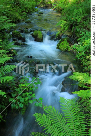 Landscape with a waterfall 137359682