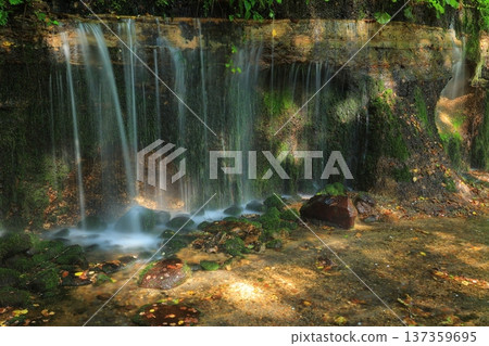 Landscape with a waterfall 137359695