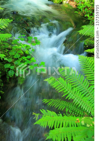 風景與瀑布 137359705