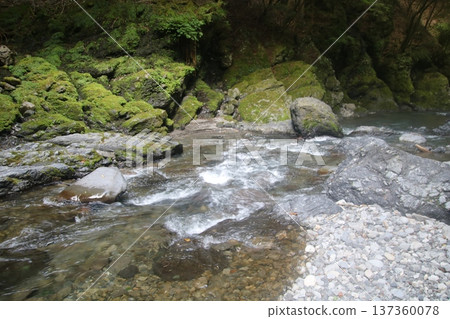 Mountain stream 137360078