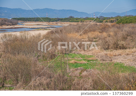 從京都府京田邊市常陽市山城橋眺望木津川 從京都府京田邊市常陽市山城橋眺望木津川 137360299