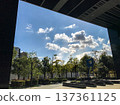 The view from the footbridge 137361125