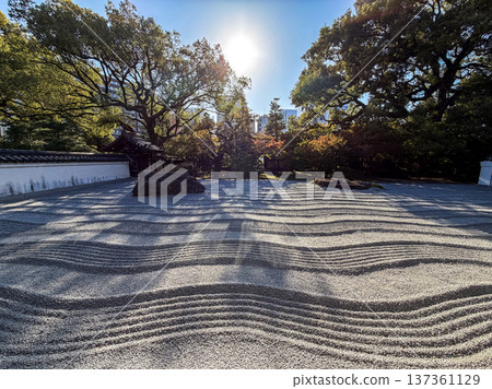 風景與秋天的落葉 137361129