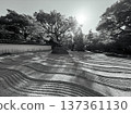 Garden with rock garden 137361130