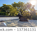 Autumn garden with beautiful autumn leaves 137361131