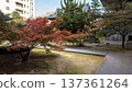 Landscape with autumn leaves 137361264