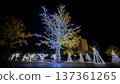 Blue Illumination 137361265