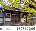 Autumn garden with beautiful autumn leaves 137361266