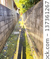 Yellow wall 137361267