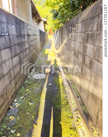 Yellow wall Yellow wall 137361267