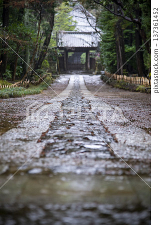 Kamakura 26225 Jufukuji Temple 2 Approach in the rain 137361452