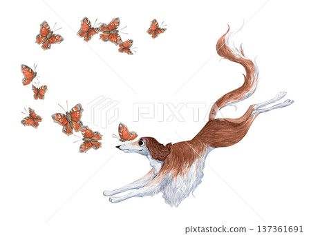 A watercolor illustration of a playful Russian greyhound running and catching butterflies A watercolor illustration of a playful Russian greyhound running and catching butterflies 137361691
