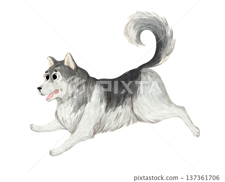 A watercolor illustration of a cheerful husky A watercolor illustration of a cheerful husky 137361706