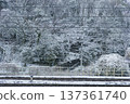 Asukayama Park on a snowy day seen from Oji Station. Winter railway scenery 137361740
