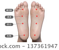 Illustrated illustration of pressure points on the soles of the feet: Uranai Ting, Yongquan, Sokushin, and insomnia 137361947