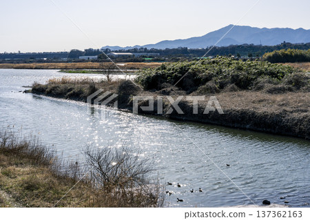 Landscape of Sagami River Landscape of Sagami River 137362163