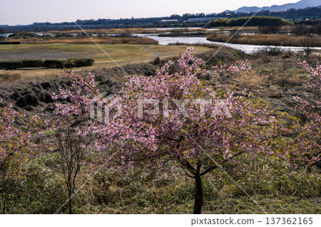 相模河景觀 137362165